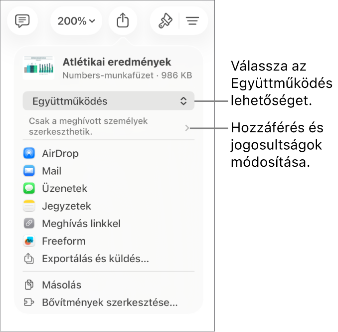 A Megosztás menü a felül kijelölt Együttműködés lehetőséggel, és az alatt látható hozzáférési és jogosultsági beállításokkal.
