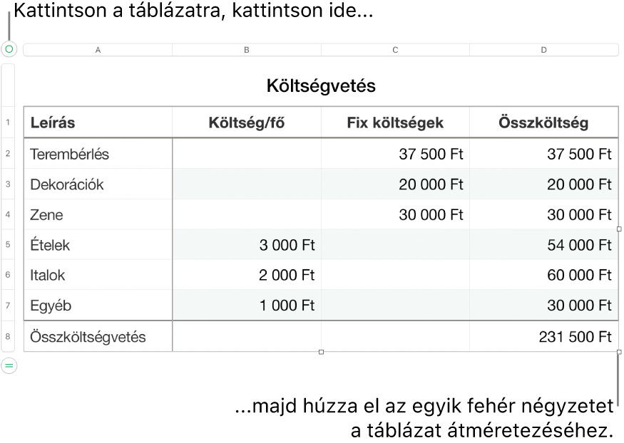 Kijelölt táblázat, átméretezésre szolgáló fehér négyzetekkel.