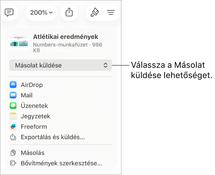 A Megosztás menü a felül elhelyezkedő Másolat küldése lehetőséggel.