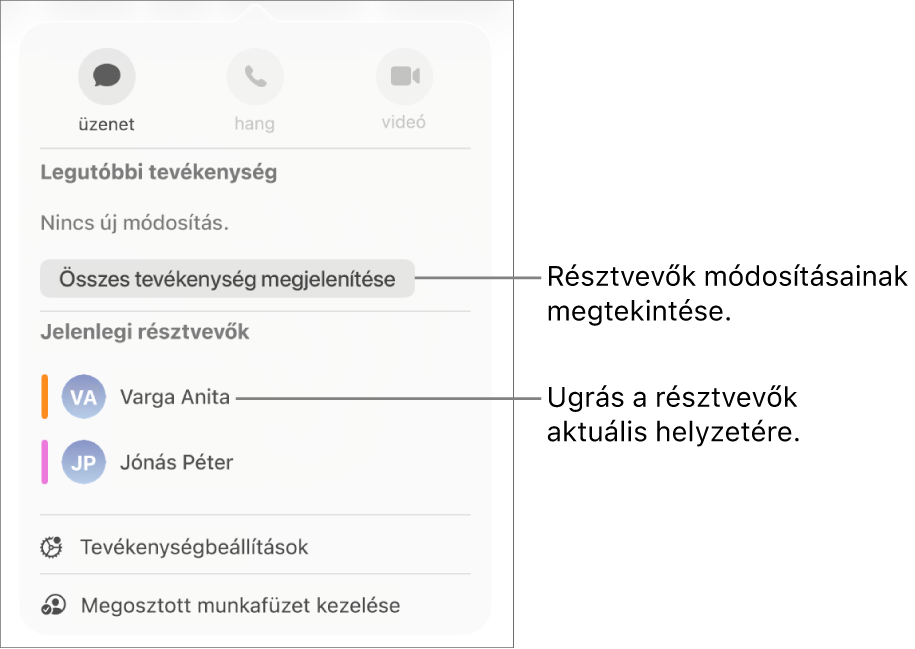 Az együttműködési menü két jelenlegi résztvevővel.