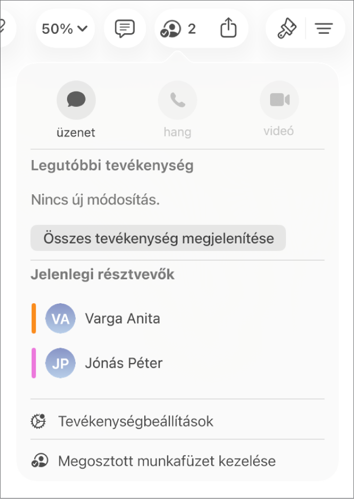 Az együttműködés menüje, amelyben a munkafüzeten együttműködő személyek nevei láthatók.