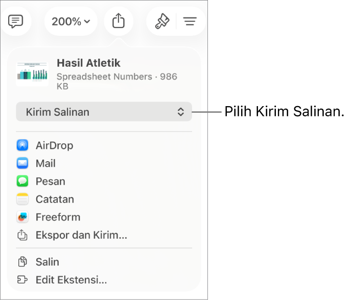 Menu Bagikan dengan Kirim Salinan dipilih di bagian atas.