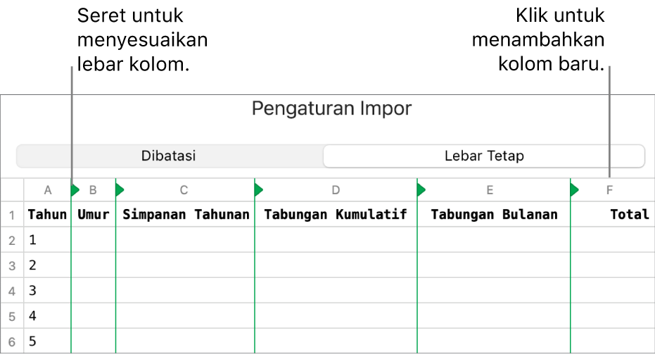 Pengaturan impor untuk file teks lebar tetap.