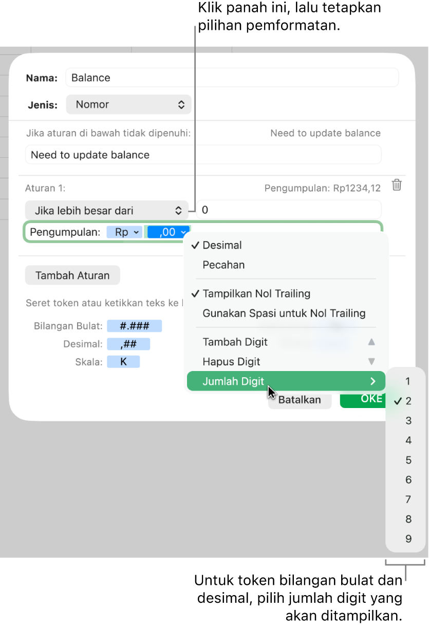 Jendela format sel khusus dengan kontrol untuk memilih pilihan pemformatan khusus.