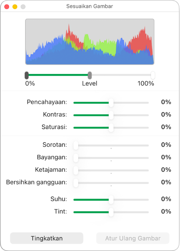 Jendela Sesuaikan Gambar dengan penggeser untuk mengatur pencahayaan, kontras, saturasi, sorotan, bayangan, pertajam, bersihkan gangguan, suhu, dan tint.