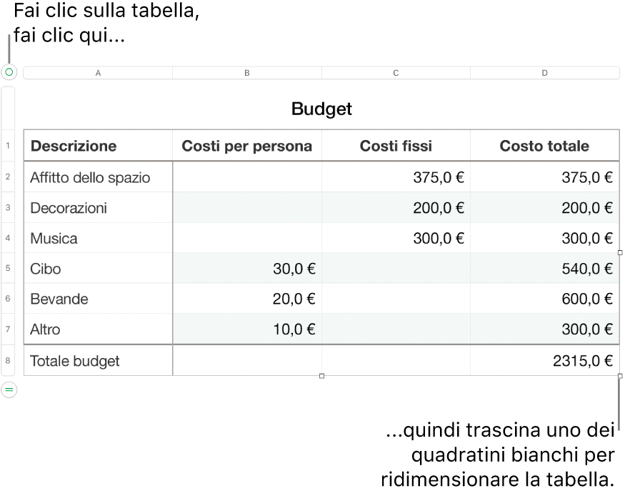 Tabella selezionata con quadratini bianchi per il ridimensionamento.