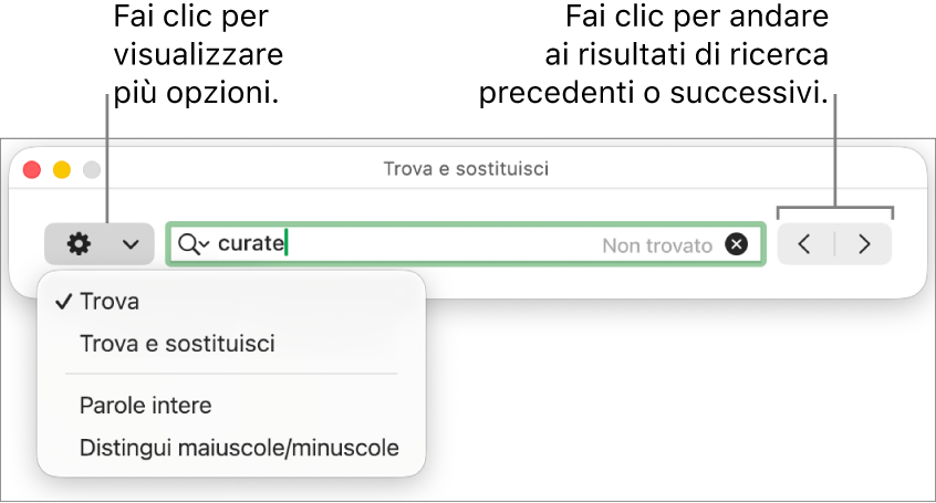 La finestra “Trova e sostituisci” con il menu a comparsa mostrante le opzioni per Trova, “Trova e sostituisci”, “Parole intere” e “Maiuscole/minuscole”. Le frecce a destra consentono di passare ai risultati di ricerca successivi o precedenti.