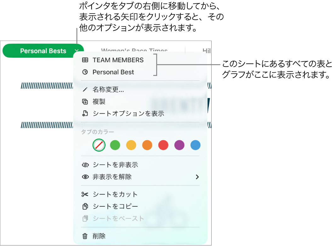 シートの編集や非表示のためのタブバー。