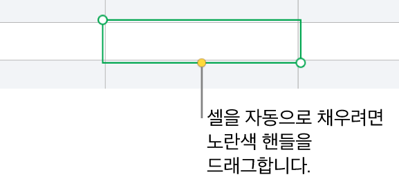 드래그하면 셀 자동 채우기를 할 수 있는 노란색 핸들이 있는 선택된 셀.