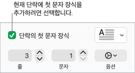 ‘단락의 첫 문자 장식’ 체크상자가 선택되어 있고 그 오른쪽에 팝업 메뉴가 나타남. 그 아래에는 줄 높이, 문자 수 및 기타 옵션을 설정하는 제어기가 있음.