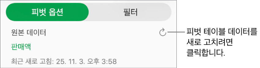 피벗 테이블을 새로고침할 수 있는 옵션을 표시하는 피벗 옵션 탭.