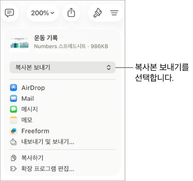 상단에 복사본 보내기가 선택되어 있는 공유 메뉴.