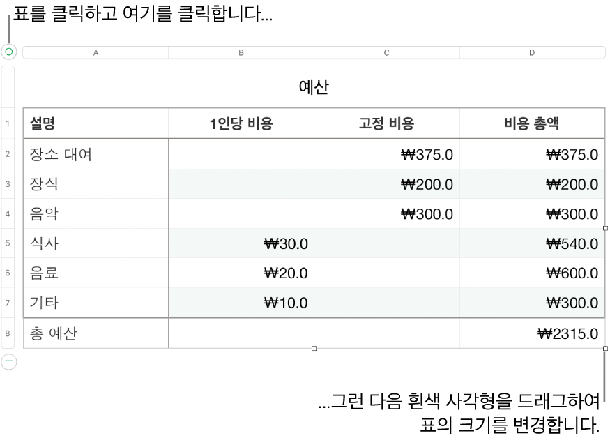 크기 조절용 흰색 사각형이 있고 선택되어 있는 표.