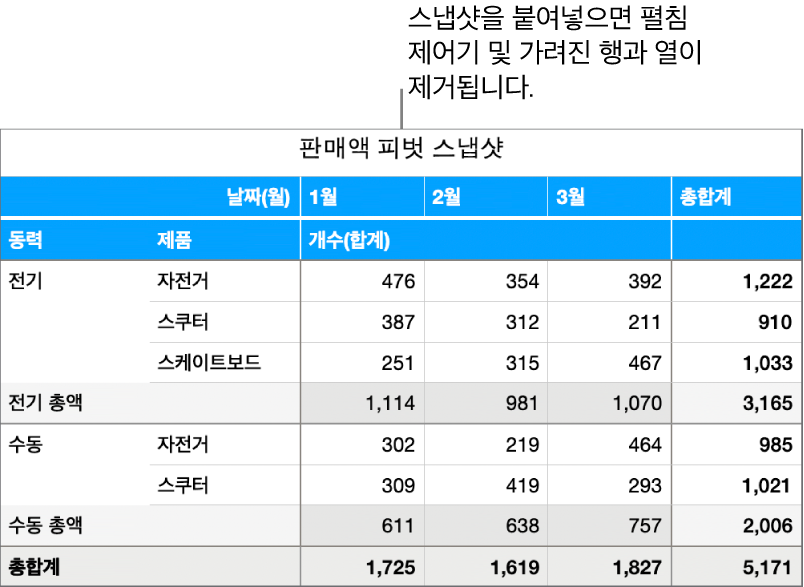 피벗 테이블 스냅샷.