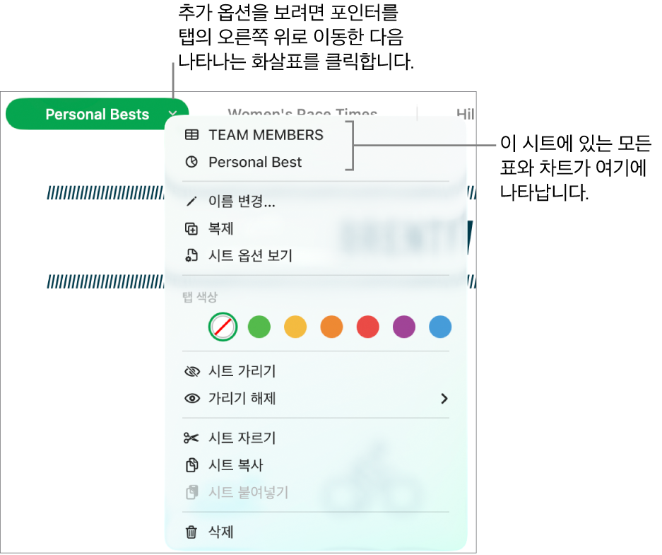 시트를 편집 및 가릴 수 있는 탭 막대