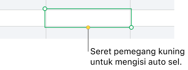 Sel yang dipilih dengan pemegang kuning yang boleh anda seret untuk mengisi auto sel.