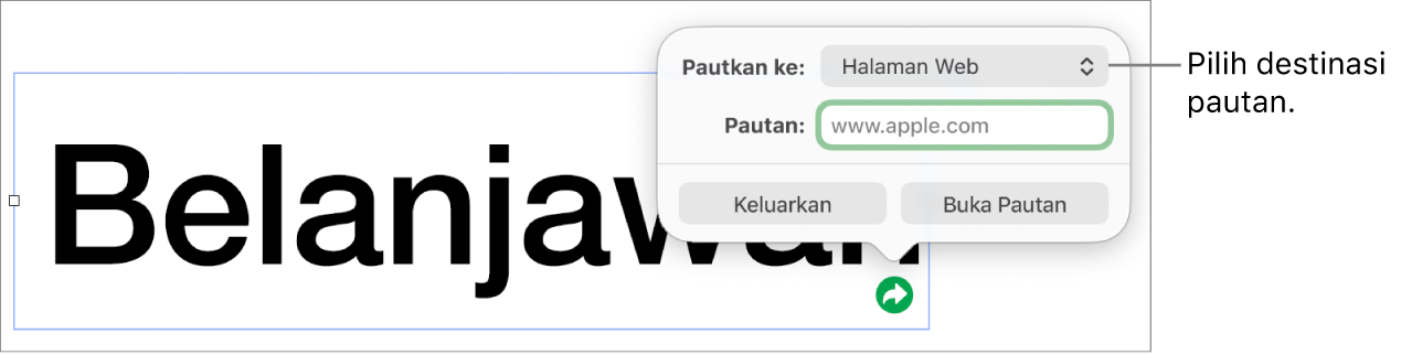 Kawalan editor pautan dengan Halaman Web dipilih dan butang Keluarkan serta Buka Pautan di bahagian bawah.