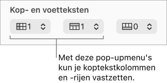 De pop‑upmenu's waarmee je koptekst- en voettekstkolommen en -rijen aan een tabel toevoegt en koptekstrijen en -kolommen vastzet.