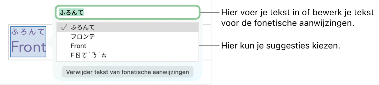 De fonetische aanwijzingen voor een woord, met uitleg bij het tekstveld en de voorgestelde tekst.