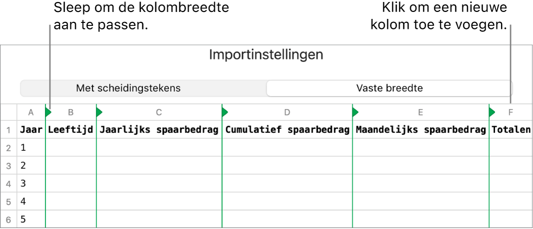 De importinstellingen voor een tekstbestand met vaste breedte.
