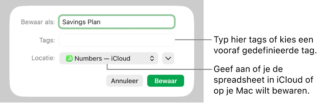 Dialoogvenster 'Bewaar als'.