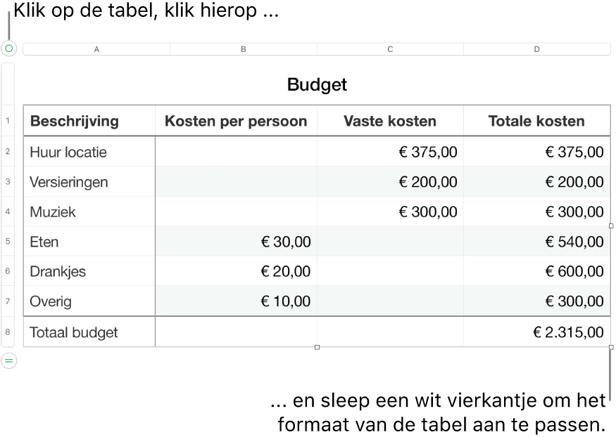 Een geselecteerde tabel met witte vierkantjes om de tabel groter of kleiner te maken.