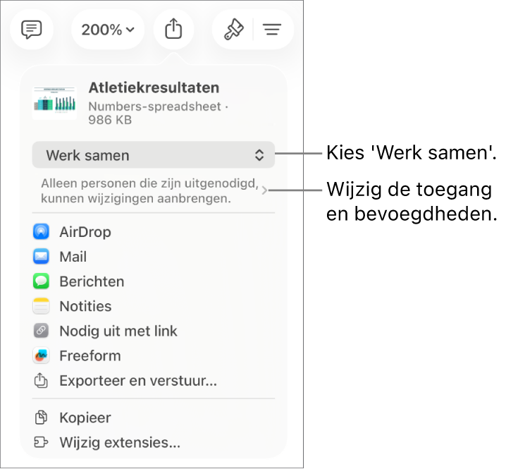 Het Deel-menu waarin bovenin 'Werk samen' is geselecteerd. Eronder staan toegangsinstellingen en bevoegdheden.
