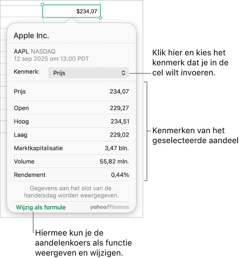 Het dialoogvenster voor het invoeren van aandelenkenmerken, met Apple als het geselecteerde aandeel.