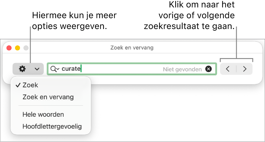 Het venster 'Zoek en vervang' met een pop‑upmenu met de opties 'Zoek', 'Zoek en vervang', 'Hele woorden' en 'Hoofdlettergevoelig'. Met de pijlen aan de rechterkant kun je naar het vorige of volgende zoekresultaat gaan.