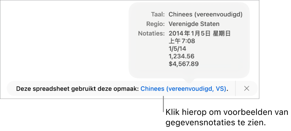 De melding van de afwijkende taal en regio, met voorbeelden van de opmaak in die taal en voor die regio.
