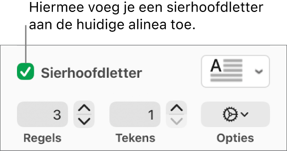Het aankruisvak 'Sierhoofdletter' is ingeschakeld en rechts ervan staat een pop‑upmenu. Eronder staan regelaars voor het instellen van de regelhoogte, het aantal tekens en andere opties.