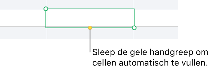Een geselecteerde cel met een gele greep die je kunt slepen om cellen automatisch te vullen.