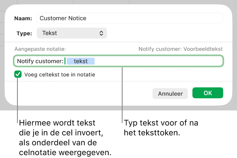 Aangepaste notatie voor tekstcel.