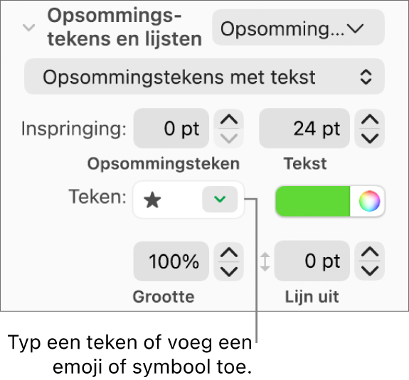 Het gedeelte 'Opsommingstekens en lijsten' in de navigatiekolom 'Opmaak'. In het veld 'Teken' staat een emoji van een ster.