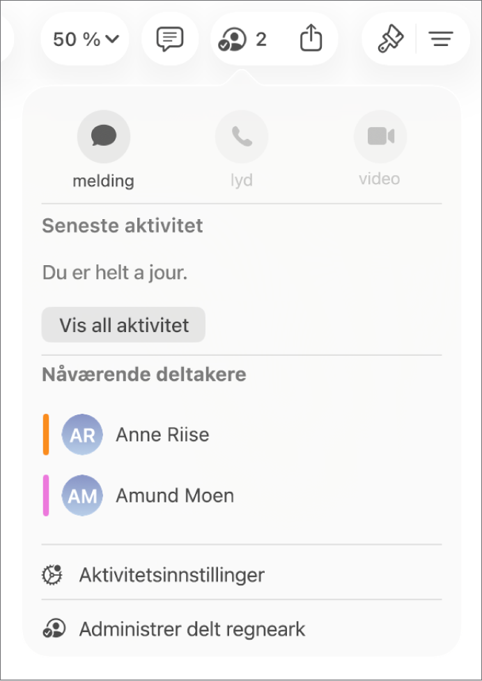 Samarbeid-menyen, som viser navnene til personer som samarbeider om regnearket.