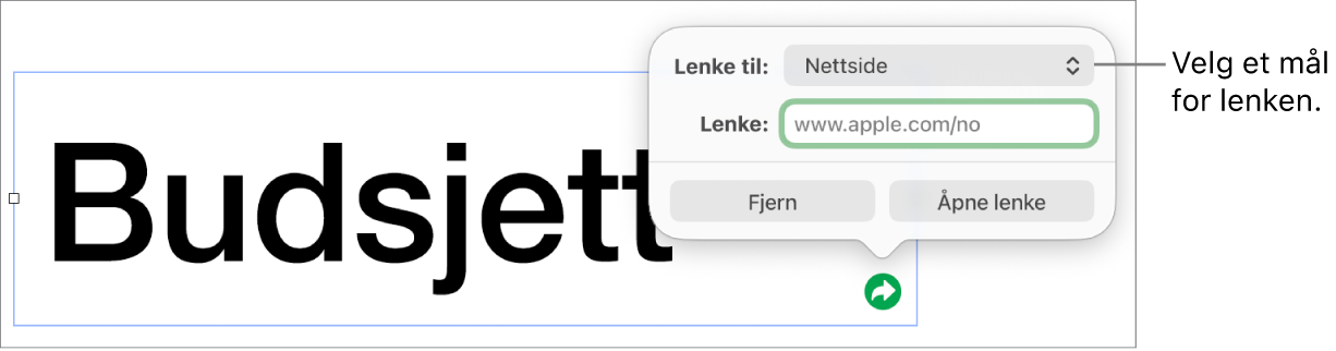 Lenkeredigerer-kontrollene med Nettside markert, og Fjerne lenke- og Åpne lenke-knappene nederst.