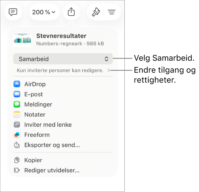 Del-menyen med Samarbeid markert øverst, og tilgangs- og tillatelsesinnstillingene under.