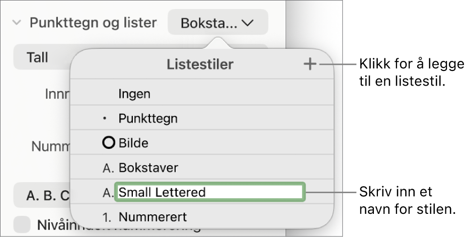 Listestiler-lokalmenyen med en Legg til-knapp øverst i høyre hjørne og et plassholderstilnavn med teksten markert.