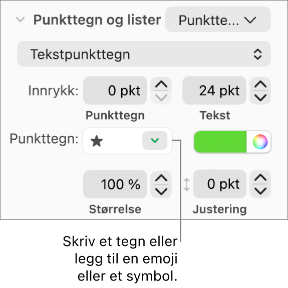 Punkttegn og lister-delen i Format-sidepanelet. Punkttegn-feltet viser en stjerneemoji.