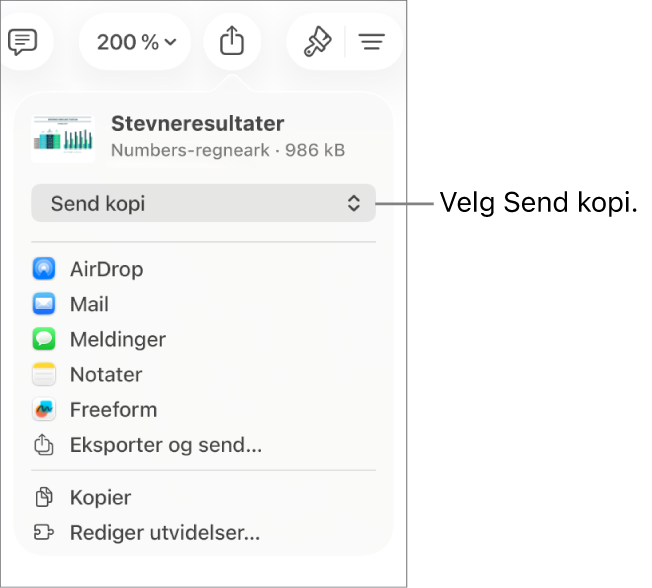 Del-menyen med Send kopi markert øverst.