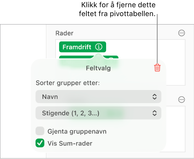 Feltvalg-menyen med kontroller for å gruppere og sortere data samt valget for å fjerne et felt.