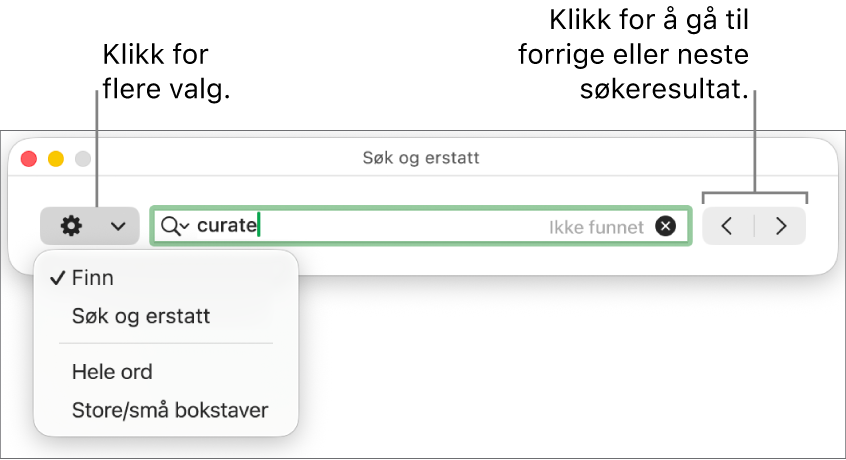 Søk og erstatt-vinduet, med lokalmenyen viser alternativer for Finn, Søk og erstatt, Hele ord og Store/små bokstaver. Pilene til høyre lar deg hoppe til forrige eller neste søkeresultat.