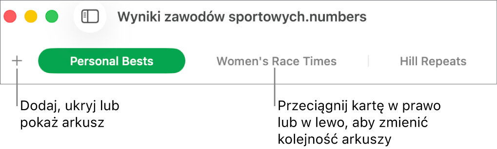 Pasek kart pozwalający na dodawanie nowego arkusza i porządkowanie arkuszy.