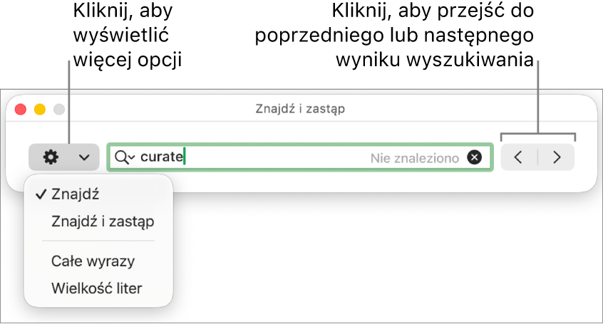 Okno Znajdź i zastąp oraz menu podręczne zawierające opcje Znajdź, Znajdź i zastąp, Całe wyrazy oraz Wielkość liter. Strzałki znajdujące się po prawej umożliwiają przechodzenie do poprzedniego lub następnego wyniku wyszukiwania.