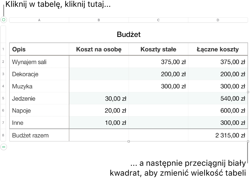 Zaznaczona tabela z białymi kwadratami pozwalającymi na zmienianie jej wielkości.