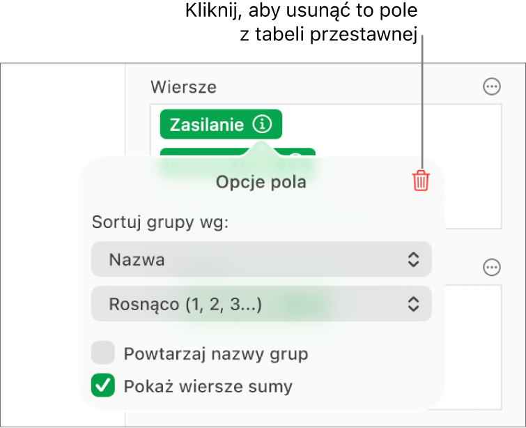 Menu Opcje pola pokazujące narzędzia grupowania i sortowania danych, a także opcja usuwania pola.