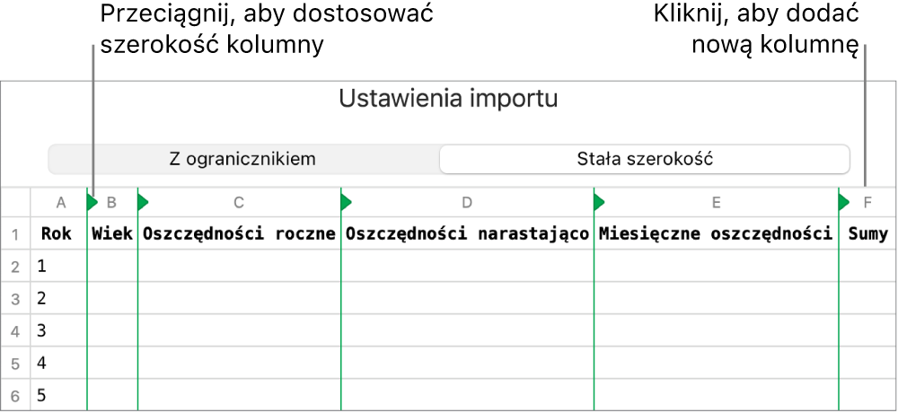 Ustawienia importowania pliku tekstowego o stałej szerokości.