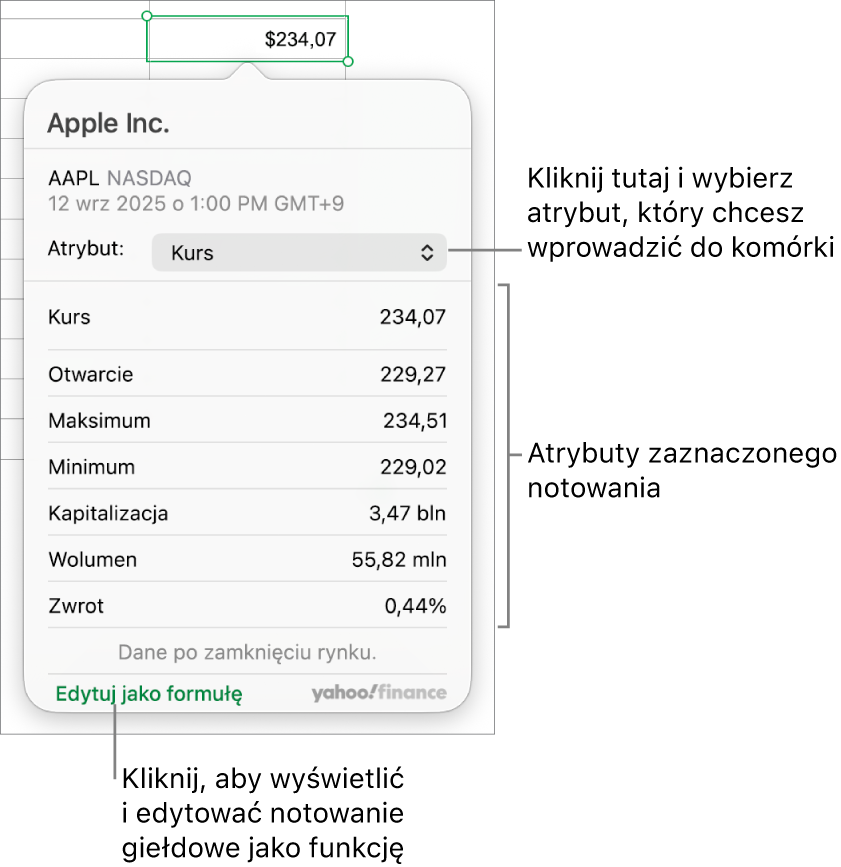 Pole dialogowe pozwalające na wprowadzanie informacji o atrybutach akcji; w polu tym wybrane są akcje Apple