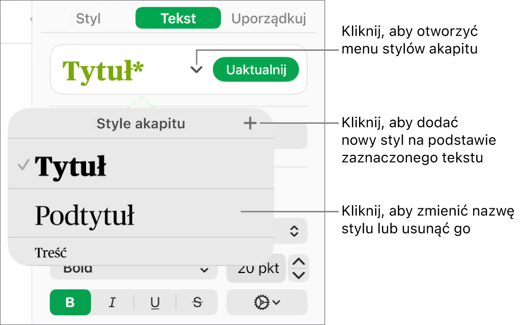 Menu Style akapitu, zawierające narzędzia pozwalające na dodawanie lub zmienianie stylu.