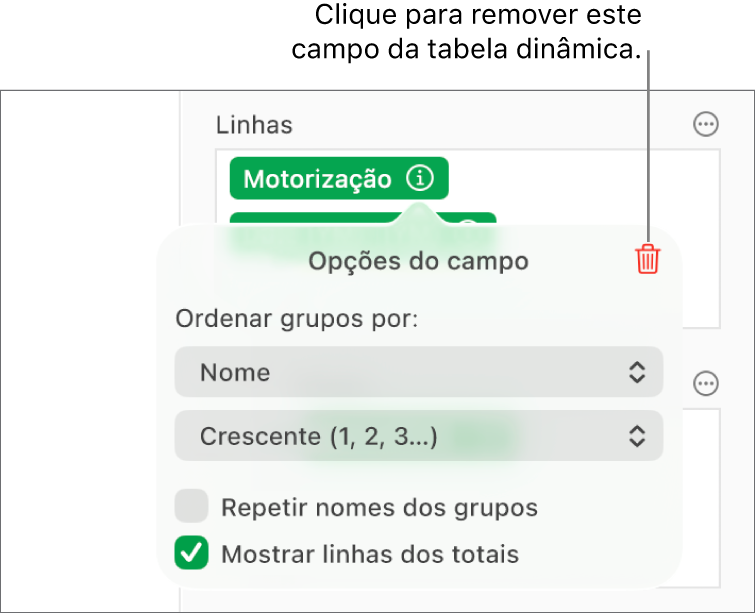 O menu "Opções do campo”, a mostrar os controlos que permitem agrupar e ordenar dados, assim como a opção para remover um campo.